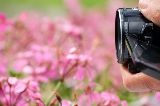 Filming Flowers