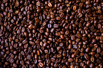 Fresh roasted coffee bean, Arabica bean at dark brown, premium quality coffee production,  background and banner