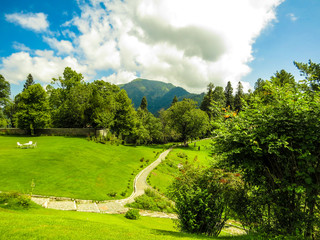 Fototapeta premium blissful morning
