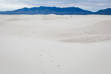 Expansive White Sand Dunes. White Sands National Park, New Mexico
