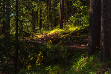 Lake Minnewanka nature scenery inside Banff National Park, Alberta, Canada