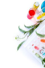 Flowers and plants in test tubes. Experiment. The concept of biological research. On white background