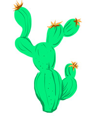cartoon illustration of a cactus. Cactus is drawn on a graphics tablet in light green 