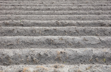 View of agricultural land prepared for sowing, arable soil