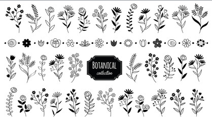 Set vintage botanical elements flower. Hand drawn rustic vector design element. Compositions simple and modern with flowers, herbs, leaves and branches illustrations.