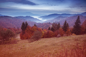 View of the mountains in a misty autumn morning. Beautiful nature landscape. Carpathian mountains. Ukraine