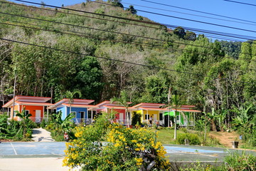 Fototapeta premium Bungalows dans les arbres. Thailande.
