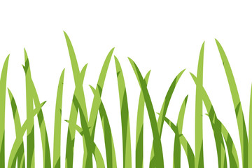 Fototapeta premium Vector horizontal seamless border with green grass.