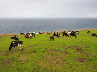 OLYMPUS DIGITAL CAMERA © Lucy