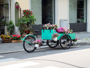 colorful flowers displayed on a green pedal cart