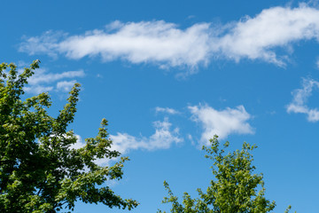 Blauer Himmel mit Wolken