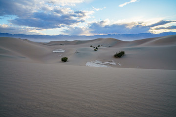 mesquite flat sand dunes in death valley national park in california, usa