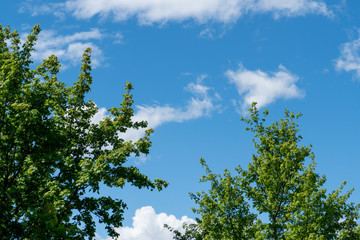 Blauer Himmel mit Wolken