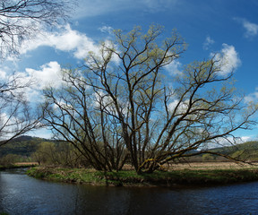 Fototapeta na wymiar Vltava calm river in Sumava National Park nice weather Czech Republic nature