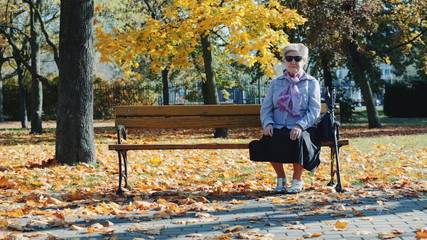 Grandmother sitting on bench in a beautiful autumn park.She probably waiting for somebody