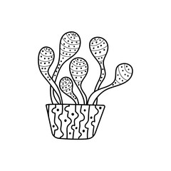 Indoor potted plant, Doodle style . Black and white pattern for coloring books for adults and children. Hand-drawn vector illustration