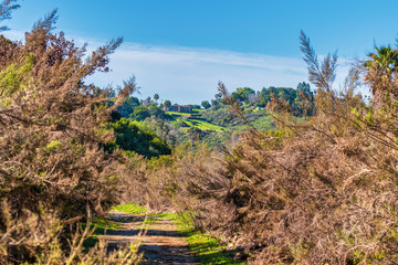  trail in the Navajo canyon in San Diego