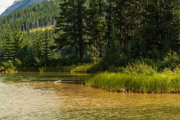 Obraz premium nature scenery inside Banff National Park, Alberta, Canada