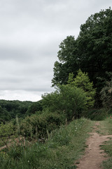 Obraz premium 【東京都 町田】都内にある田舎の風景
