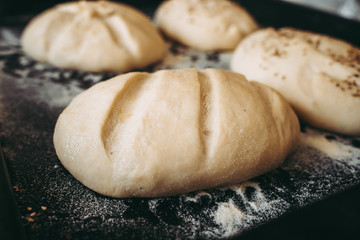 Making of fresh bread