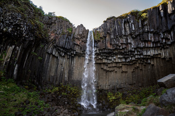 Svartifoss 