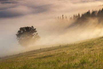 Mountain landscape in Bucovina, Romania