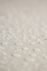 water drops close up