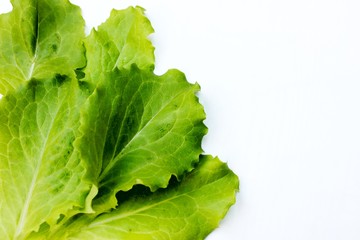 Frame from lettuce leaves isolated on white, top view. Vegetarian food. Background of fresh greenery with place for text.