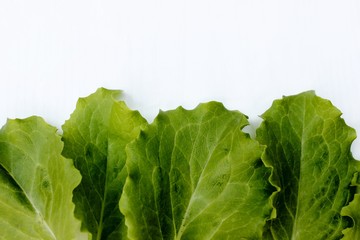 Frame from lettuce leaves isolated on white, top view. Vegetarian food. Background of fresh greenery with place for text.