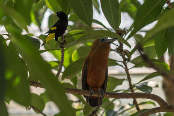 Concept of connection with adorable natural animals