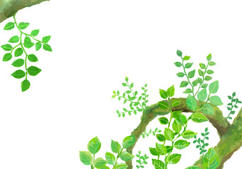 Obraz na płótnie Canvas 水彩手描きの緑の樹木フレーム