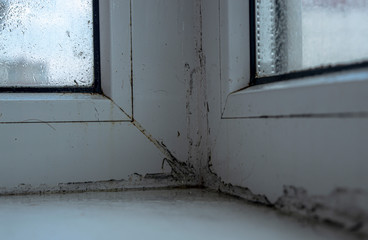 black mold on a plastic white window close up