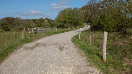 The path into the nature with blue sky in denmark