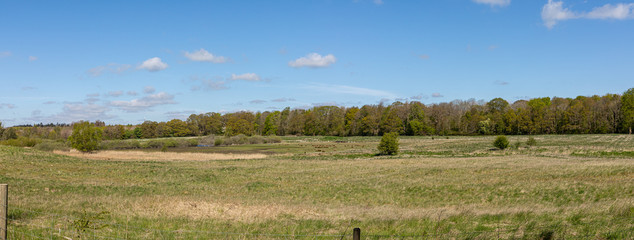 landscape with trees and blue sky with clouds