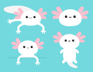 Cute axolotl set. Mexican salamander. White axolotyl. Ambysoma mexicanum. Cartoon kawaii funny smiling baby character. Water dragon. Pink horns. Flat design. Isolated. Blue background.