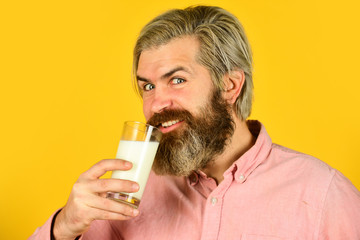 Fototapeta premium Emotional bearded man hold glass of milk. Vegan milk concept. Vegan milks made from wide variety of beans nut, seeds and grains. Healthy food. Drink protein cocktail. Lactose free. Pasteurized milk