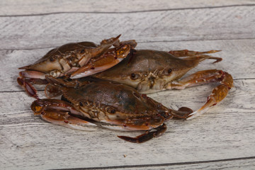 Raw crab - ready for cooking