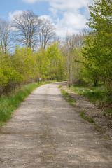 Path into the woods, in the spring nice green colors