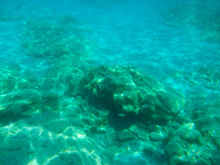 A dip in the sea. Seabed of the Mediterranean