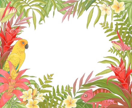 Tropical Decoration Frame For Your Text, Vector Illustration In Vintage Style With Parrot Sun Conure, Chameleon, Plant Bromelia Guzmania And Colorful Leaves.