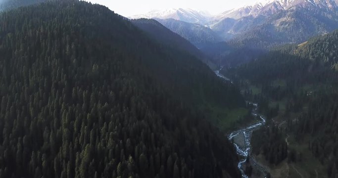 Scenic tilt shot with panoramic view of natural valley with small river and deep green coniferous tree forest in front of mountains of Himalaya in Kashmir, India.