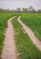 Dirt countryside road leading into the distance through the fields.