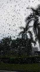 Rain drops on window