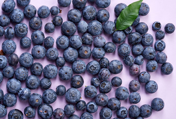 Blueberries on colorful paper background