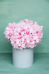 Bouquet of fresh pink peony flowers in full bloom in vase.