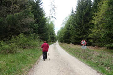 Wald - Pflanzen - Waldweg