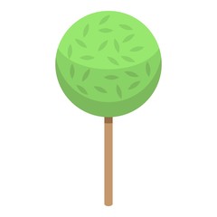 Round tree icon. Isometric of round tree vector icon for web design isolated on white background