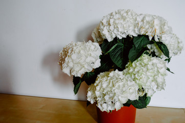A bouquet of white flowers