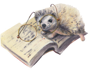 A cute hedgehog is reading. Watercolor illustration on a white background.