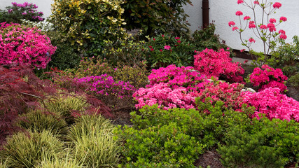 Garten, Vorgarten, japanisch
